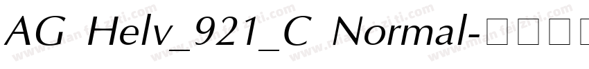 AG Helv_921_C Normal字体转换